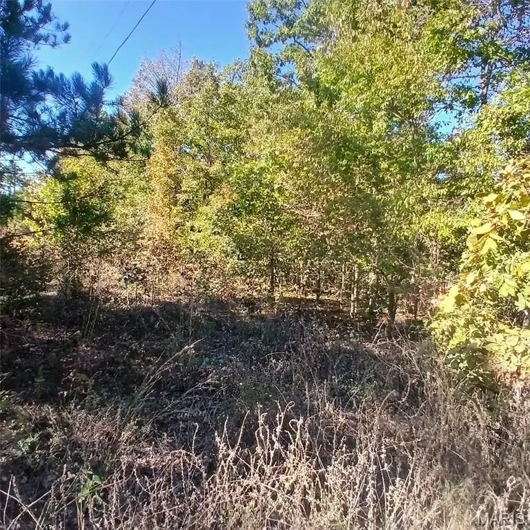 Picture 10