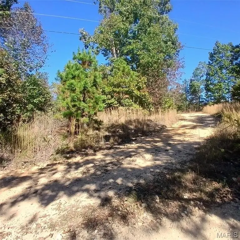 Picture 9
