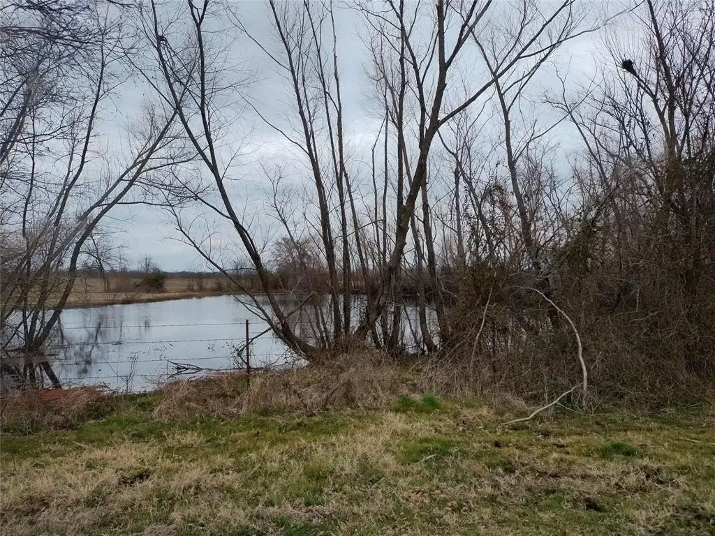 Picture 19