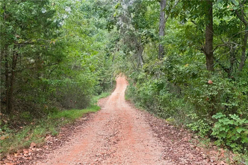Picture 19
