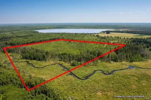 Northern Minnesota Recreational Land Opportunity