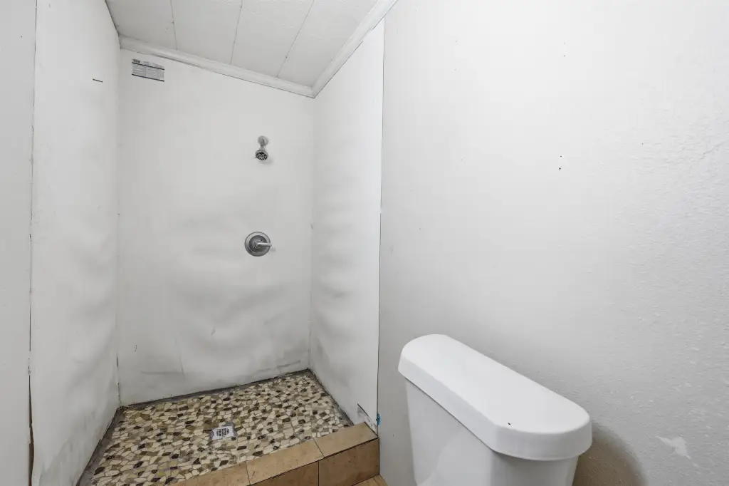 Picture 11