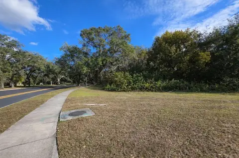 Osceola County Land Parcel