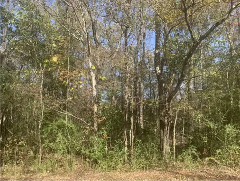 Residential Land in Summerville, SC