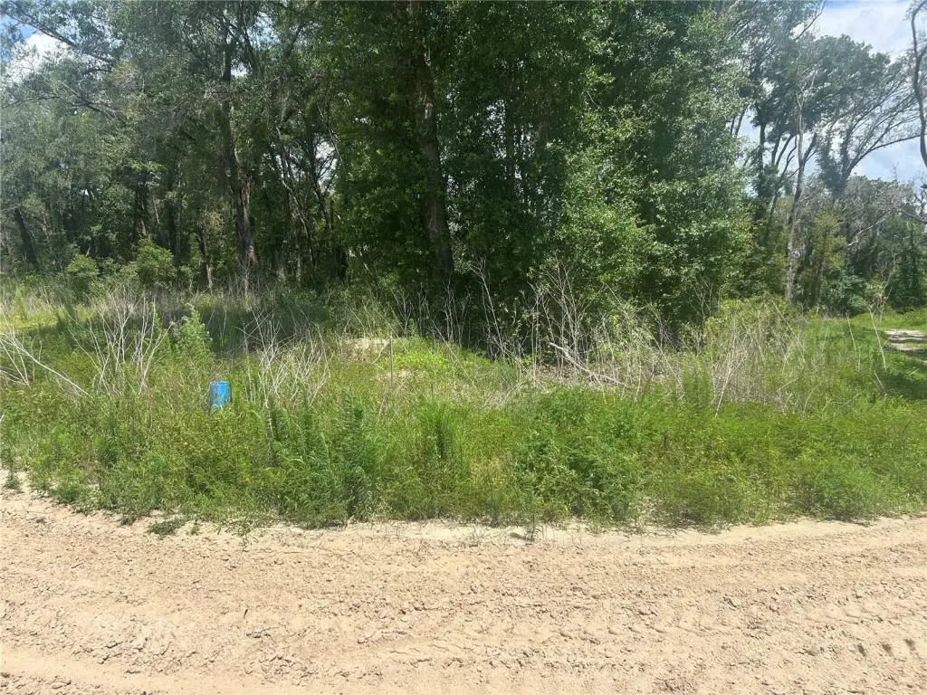 Picture 3