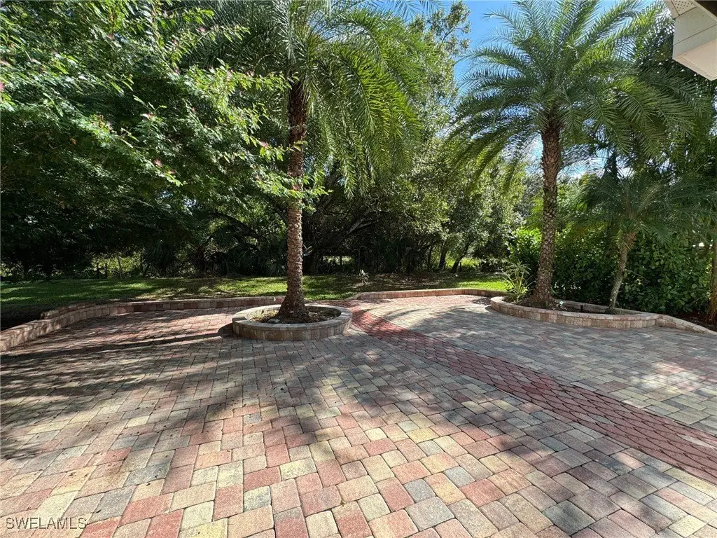 Picture 22