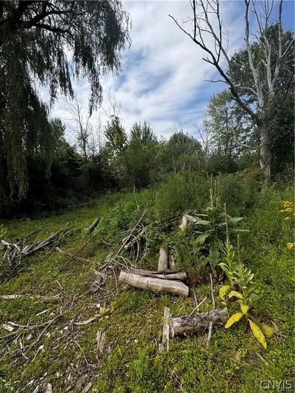 Picture 8