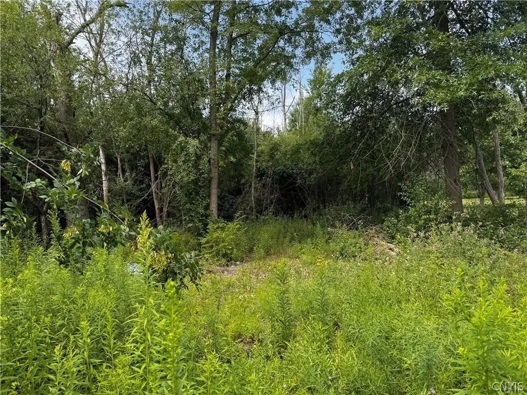 Picture 6