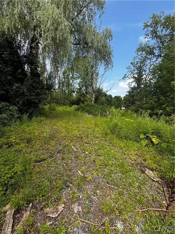 Picture 7