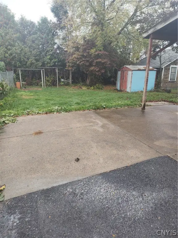 Picture 16