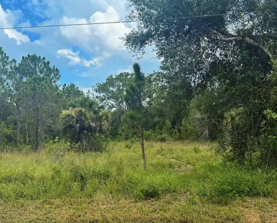 Picture 6