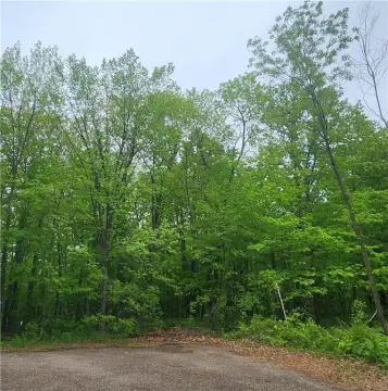 Wooded Lot Near Mille Lacs