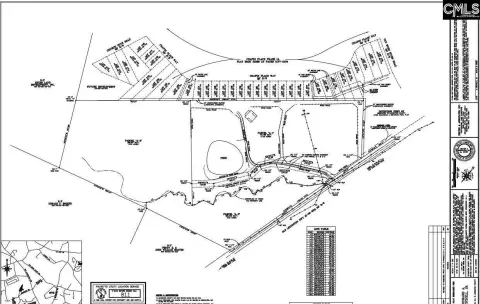 Chapin Acreage with Road Frontage