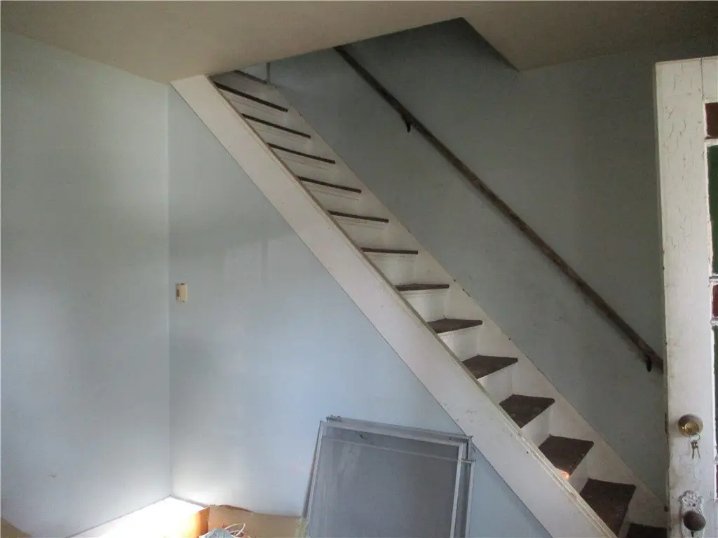 Picture 8