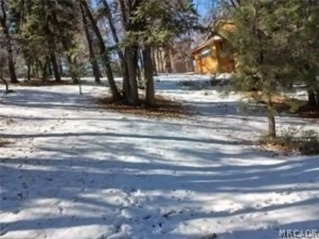 Picture 3