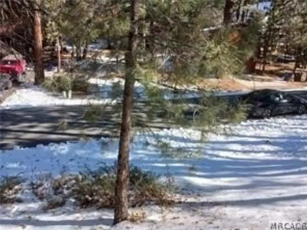 Picture 6