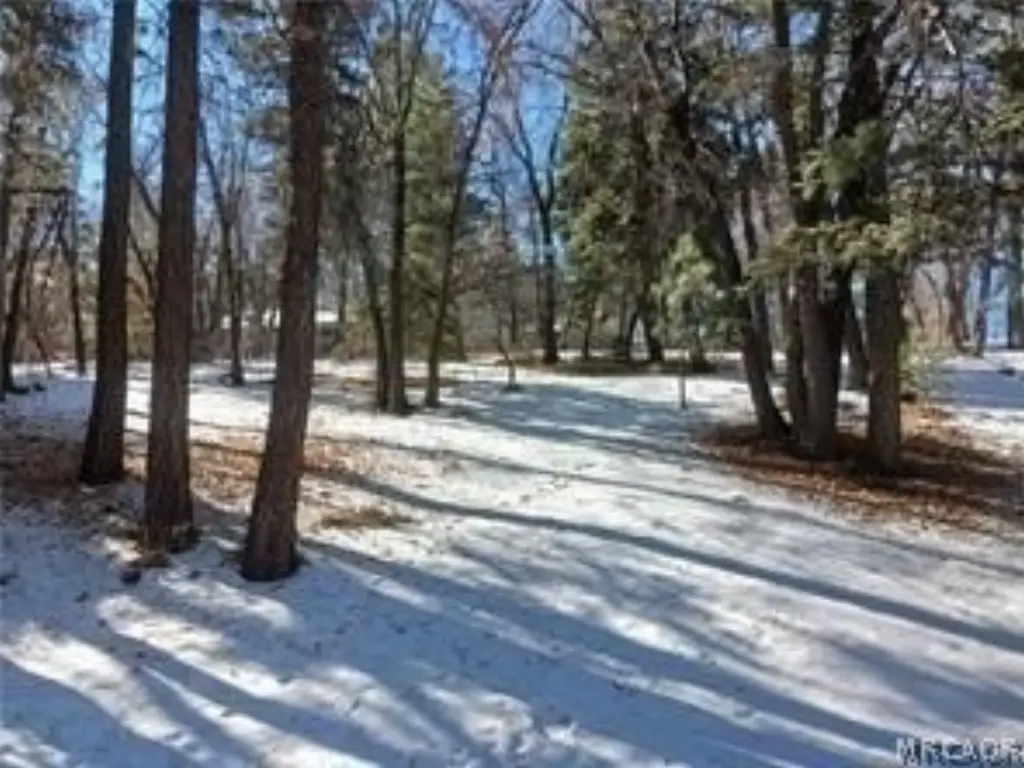 Picture 5