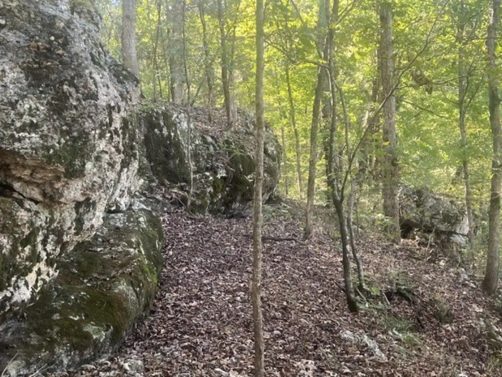 Picture 11