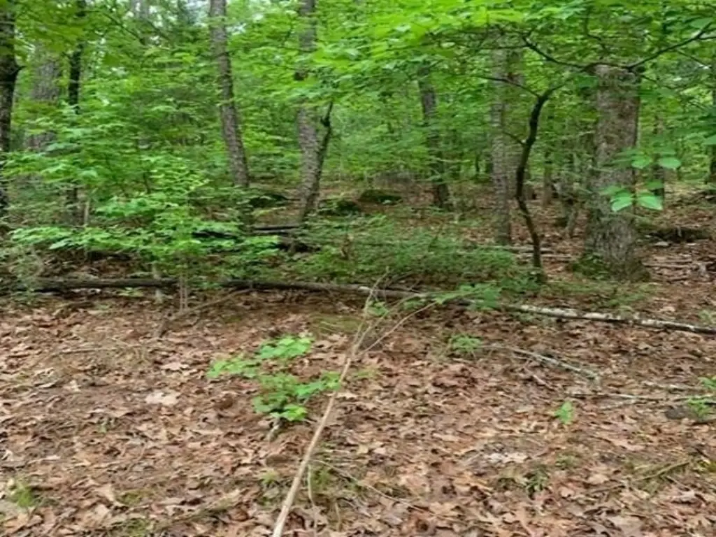 Picture 12