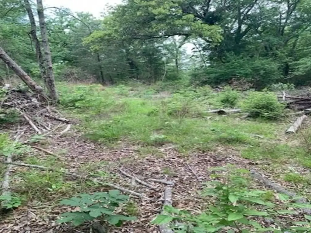 Picture 3