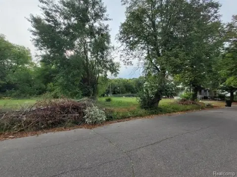 Residential Vacant Land in Detroit