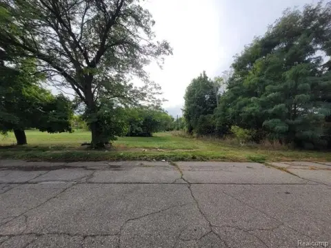Residential Lot Near Downtown Detroit