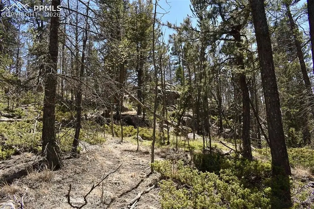 Picture 3