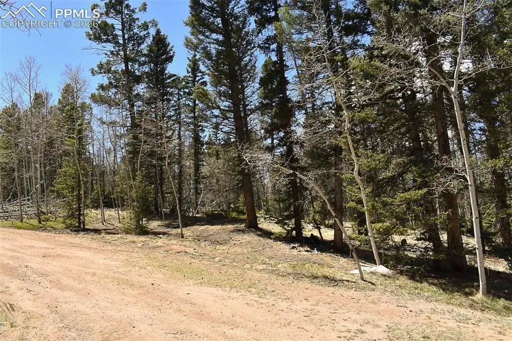 Picture 22