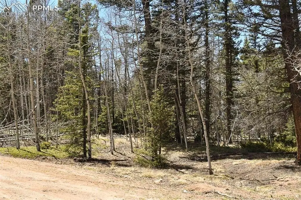 Picture 21