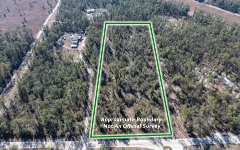 Live Oak 5-Acre Residential Lot