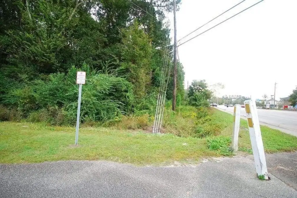 Picture 2