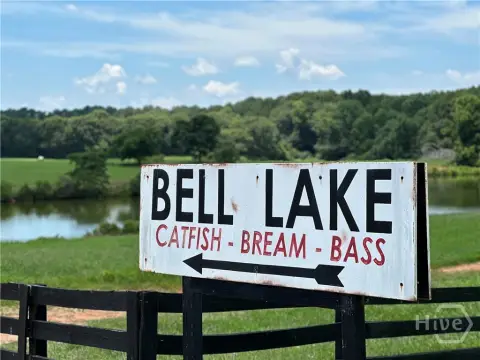 62 Acres on Bell Lake