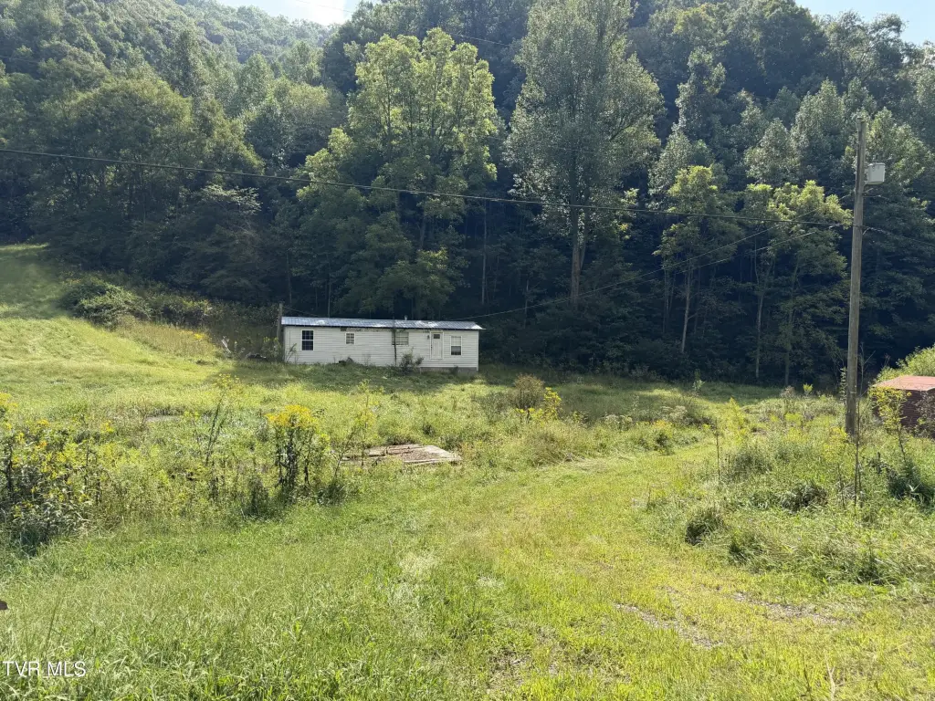 Picture 5