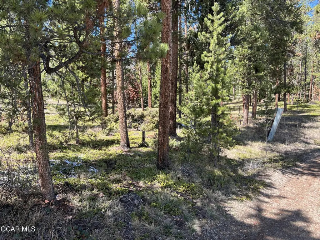 Picture 22