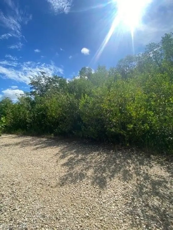 Picture 3