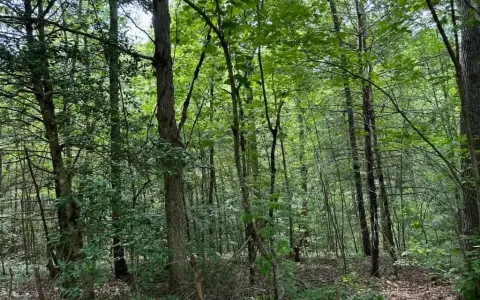 Residential Land in Gated Community