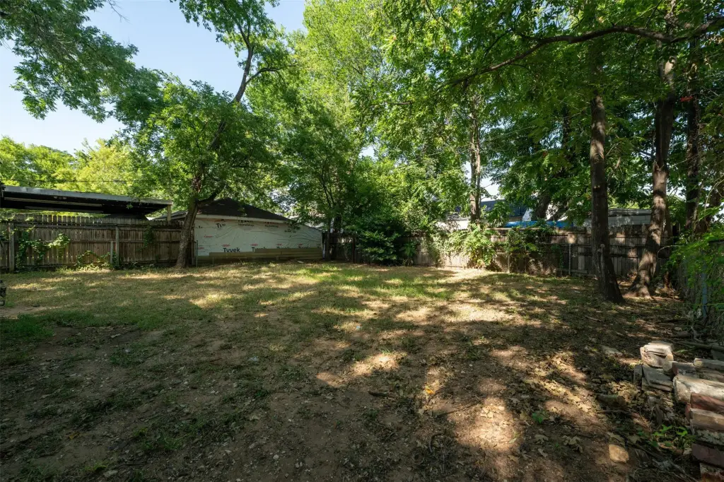 Picture 31