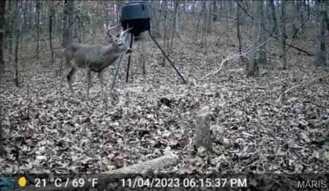 Affordable Hunting Land Near Highway
