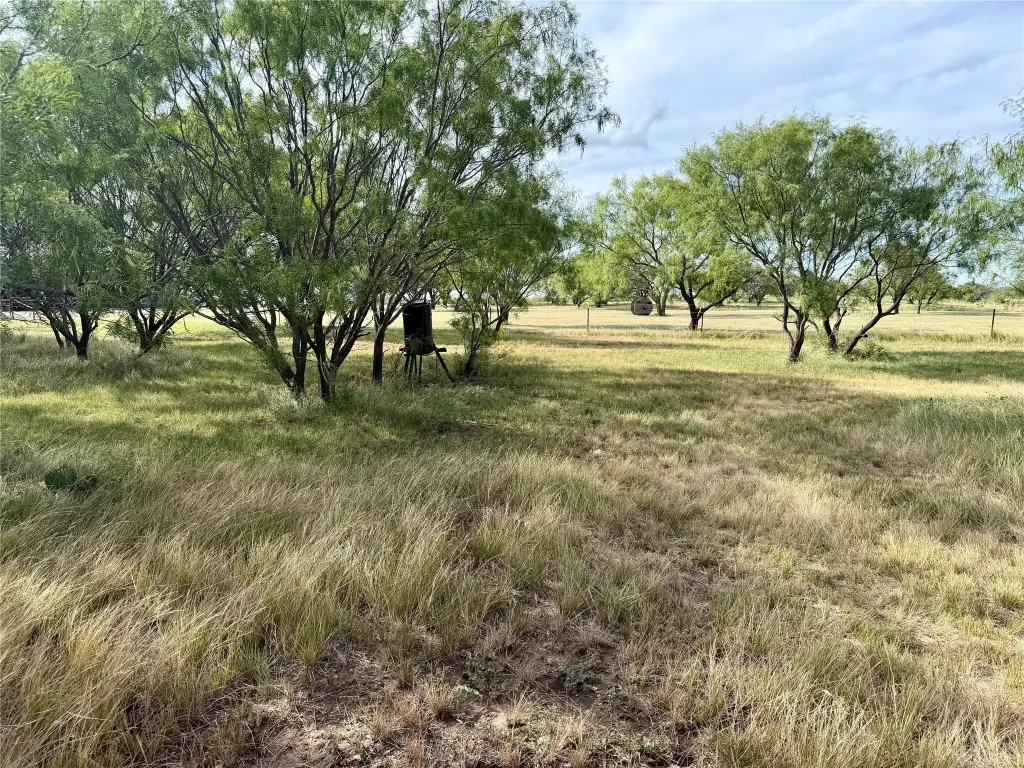 Picture 24