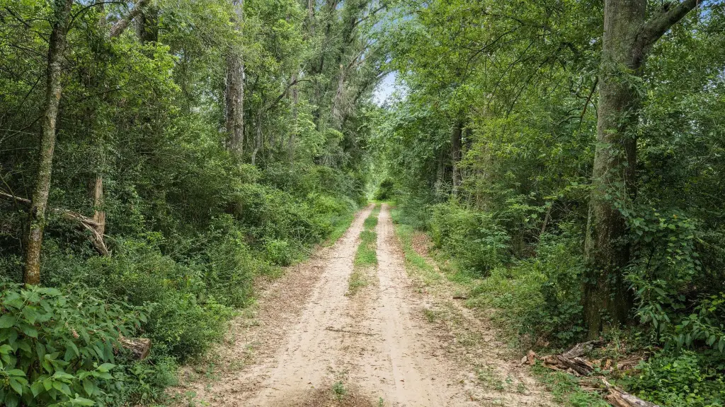 Picture 18