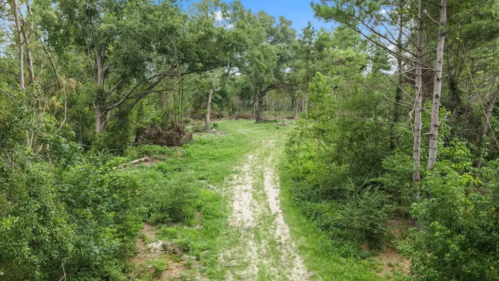 Picture 19