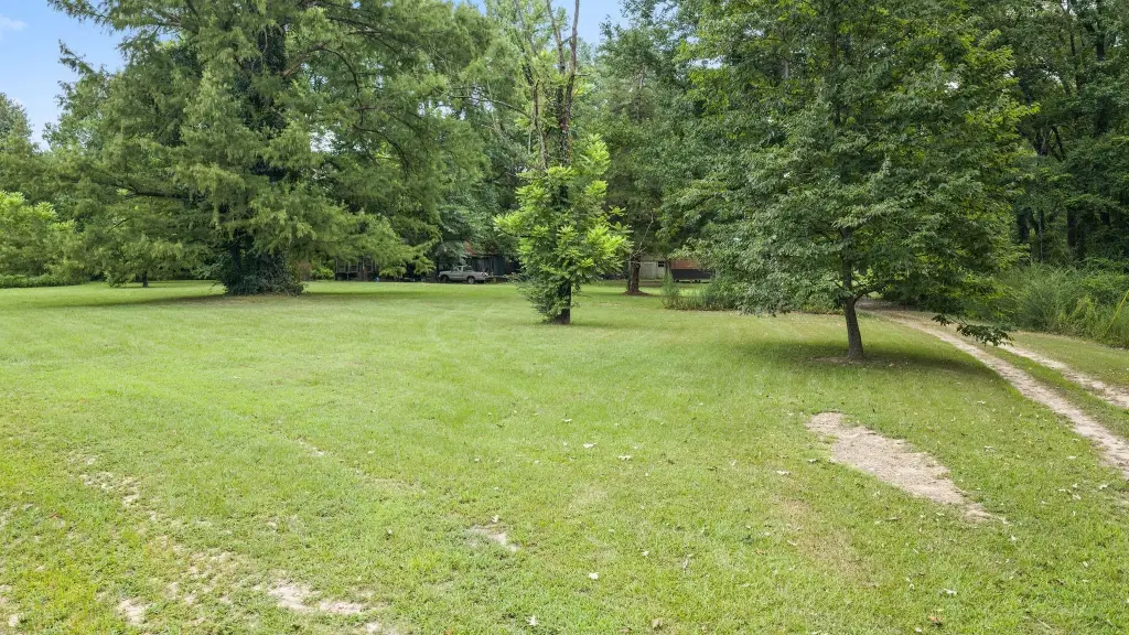 Picture 16