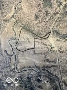 Secluded Wooded Parcel Near Forest