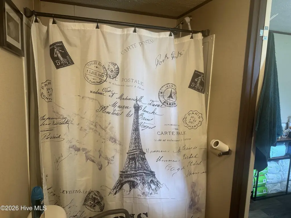 Picture 17