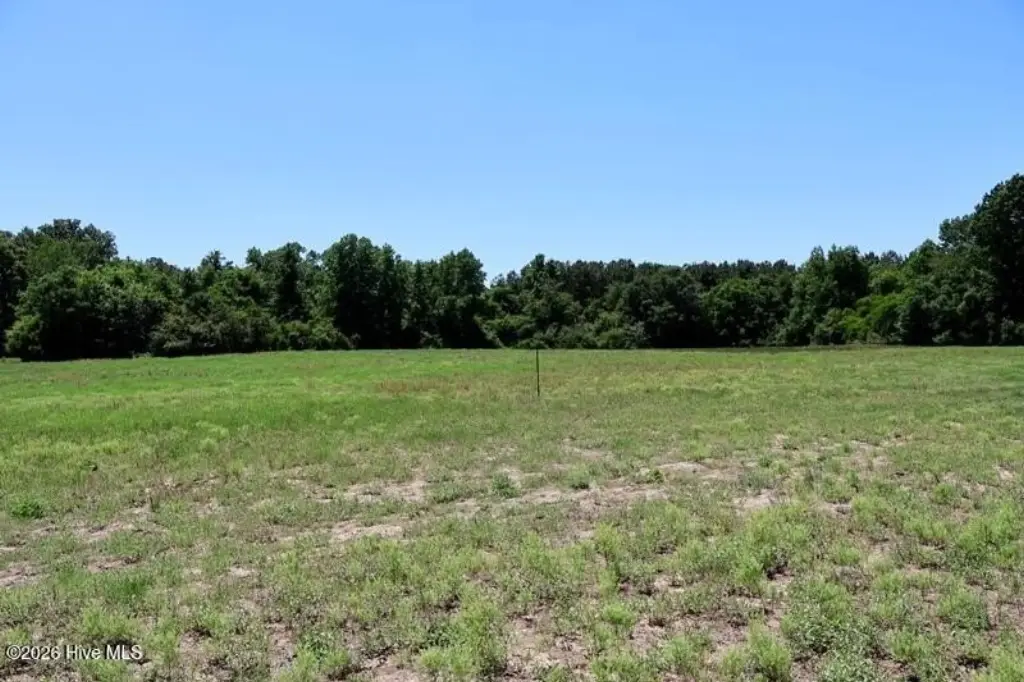Picture 7