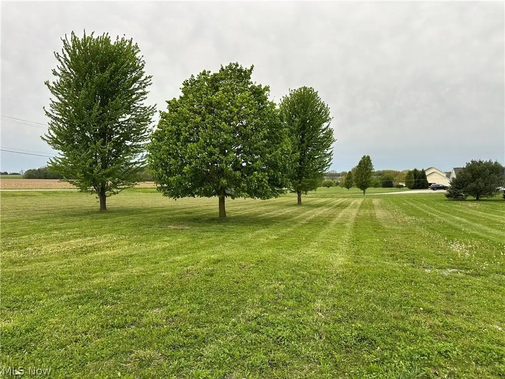 Picture 5
