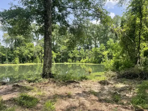 Pearl River Frontage Hunting Land