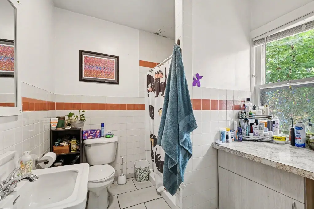 Picture 24