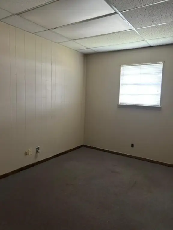 Picture 19