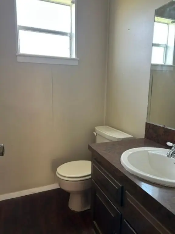 Picture 15